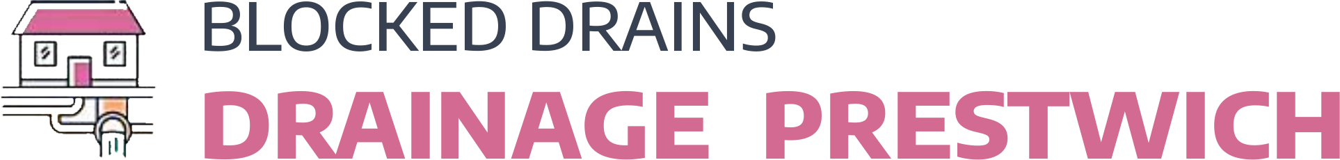 website logo